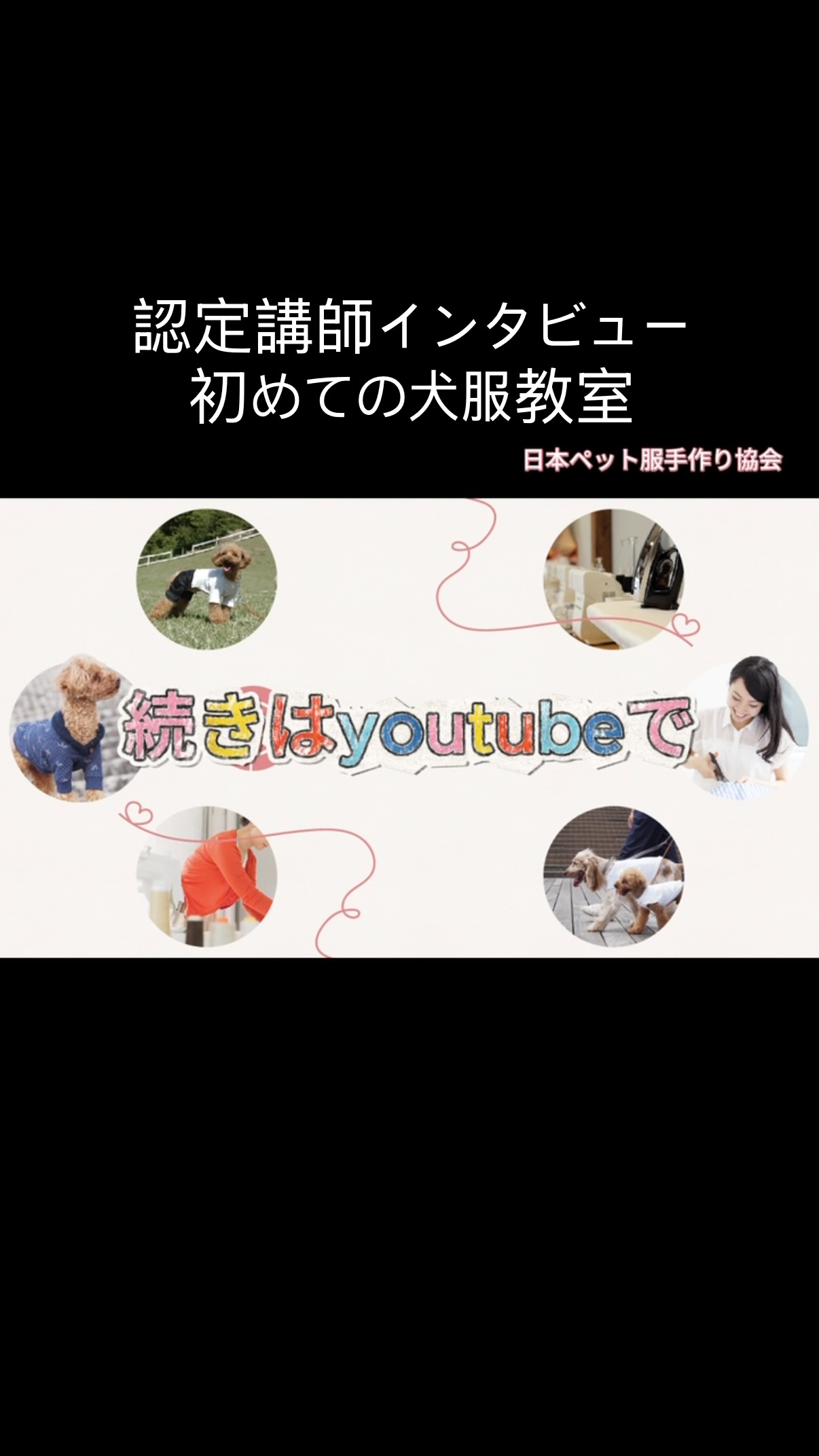 ⁡日本ペット服手作り協会です ⁡ ✨初めての犬服教室、その日はどんな一日だった？