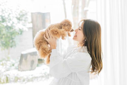 犬服教室　itotoinu